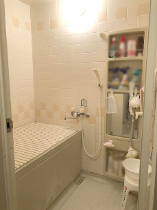 サポートバーを搭載した浴室で安全性の高い浴室に
